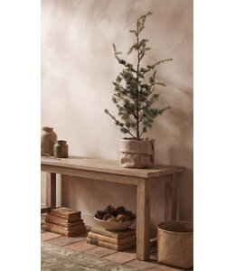 @ Picea fantasia S 90cm