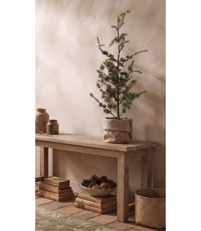 @ Picea fantasia S 90cm