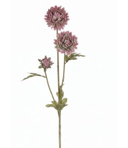 Pompidom pink
