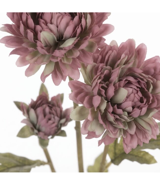 Pompidom pink