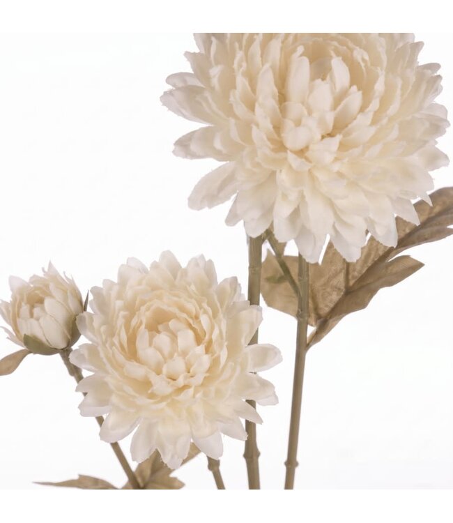 Pompidom creme
