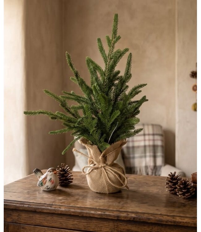 Picea abies S in jute - 25 × 25 × 40 cm