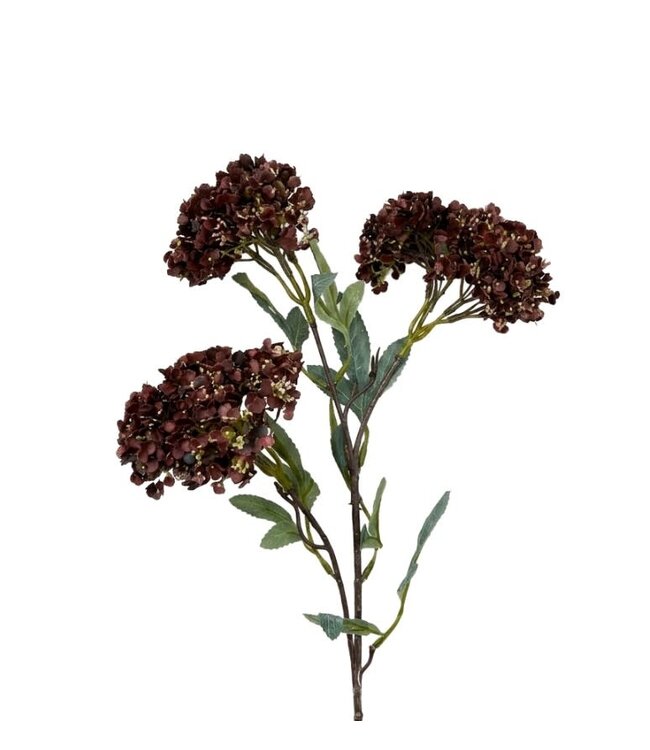 Hydrangea Spray brown M