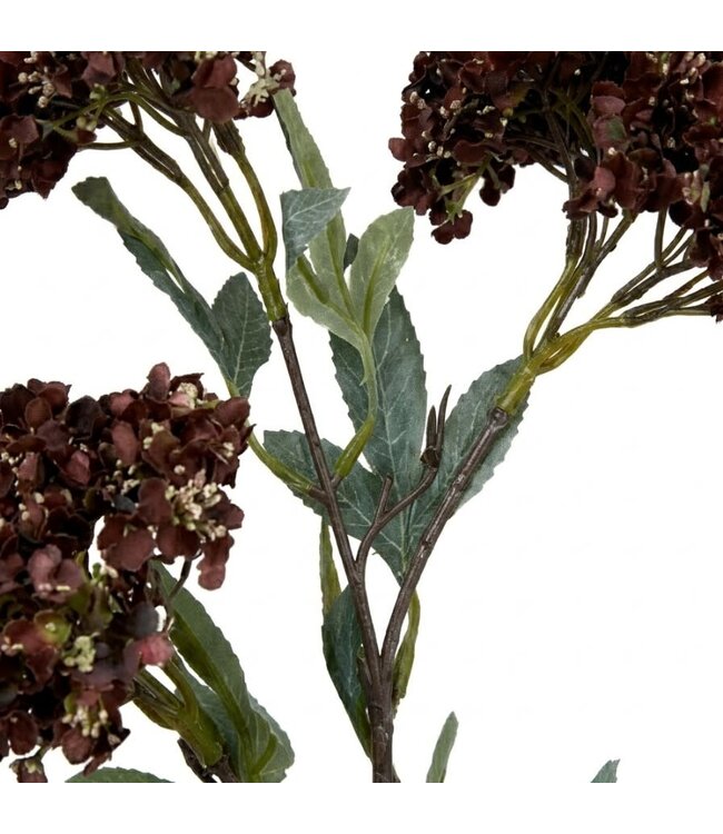 Hydrangea Spray brown M