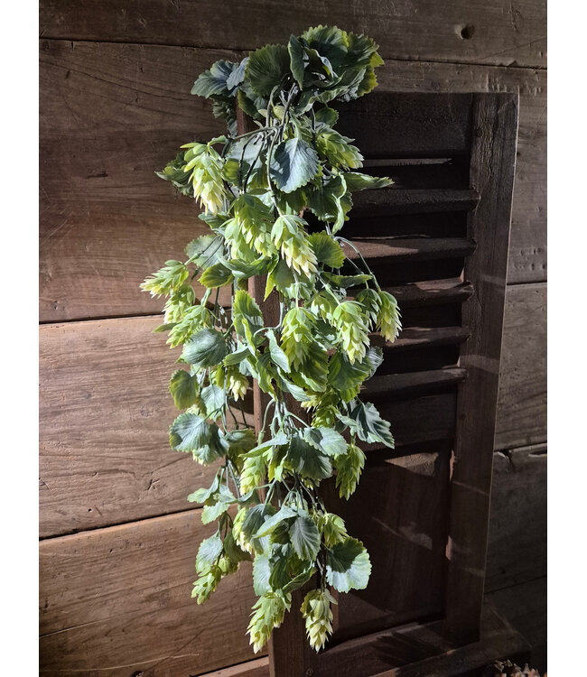Hanger - hop - kunst - 60 cm