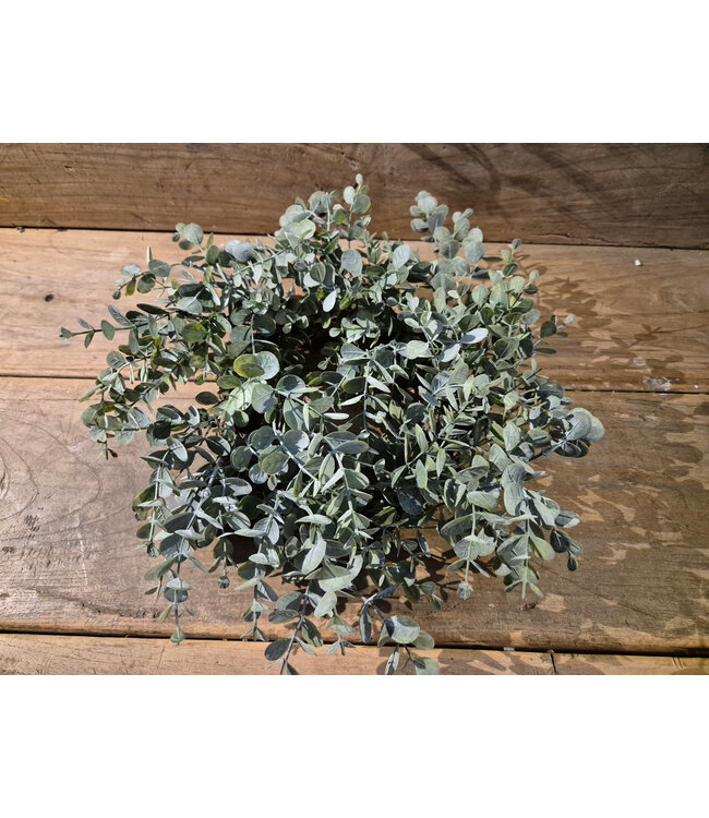 Countryfield Groene eucalyptus krans 40 cm
