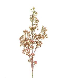 Countryfield @ Bloem Conyza roze-14x14x78CM