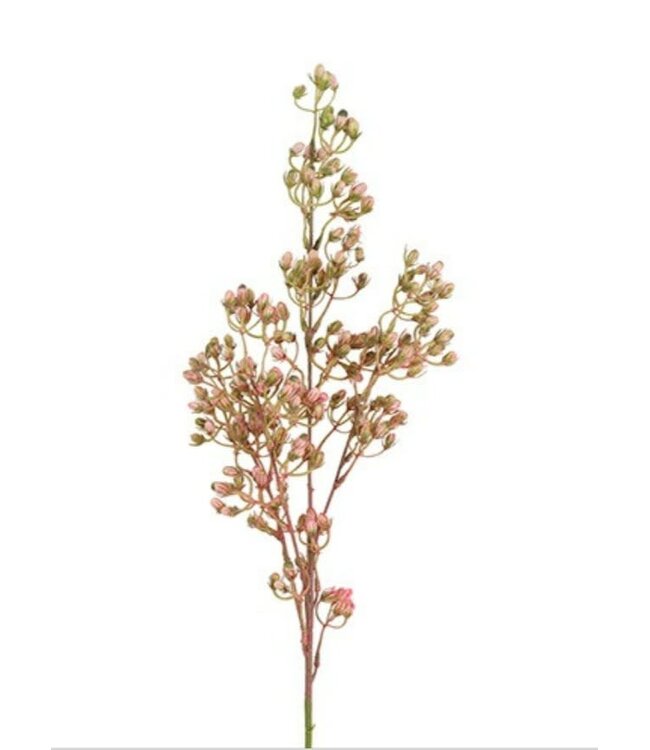 Countryfield Bloem Conyza roze-14x14x78CM
