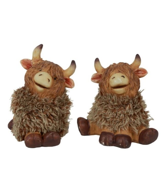 Countryfield Schotse hooglander Temmi S a2 bruin - per stuk