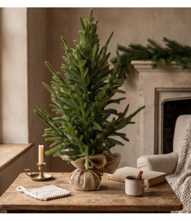 Picea abies L in jute - 30 × 30 × 60 cm