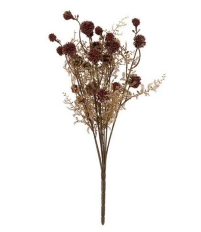 Countryfield Bloem achillea bruin-9x24x55CM