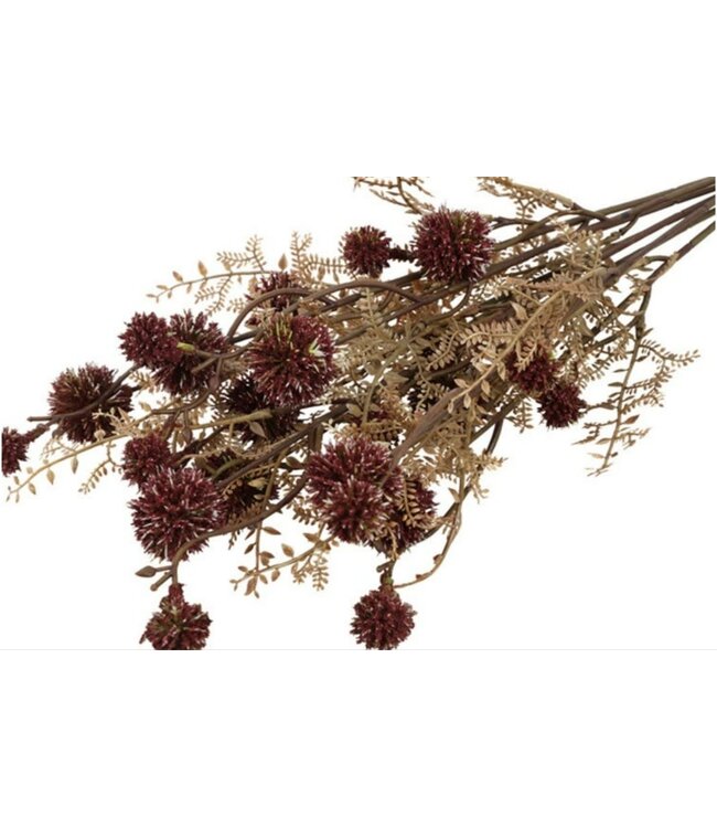 Countryfield Bloem achillea bruin-9x24x55CM