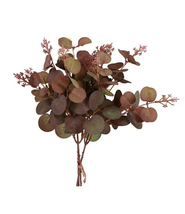 Countryfield Bundel Eucalyptus opulus bruin-22x19x45CM