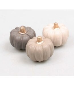Pompoen 6x6x4.5 cm 3 kleuren assortie pastel - per stuk