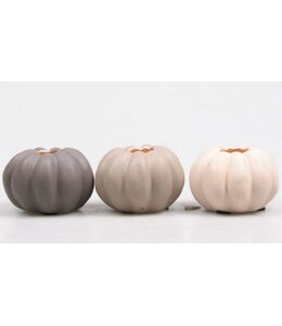 @ Kaarsenstandaard pompoen 7.5x7.5x5 cm 3 kleuren assortie pastel - per stuk