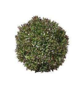 Countryfield Deco bol Eupatorium S groen-11x11x11CM