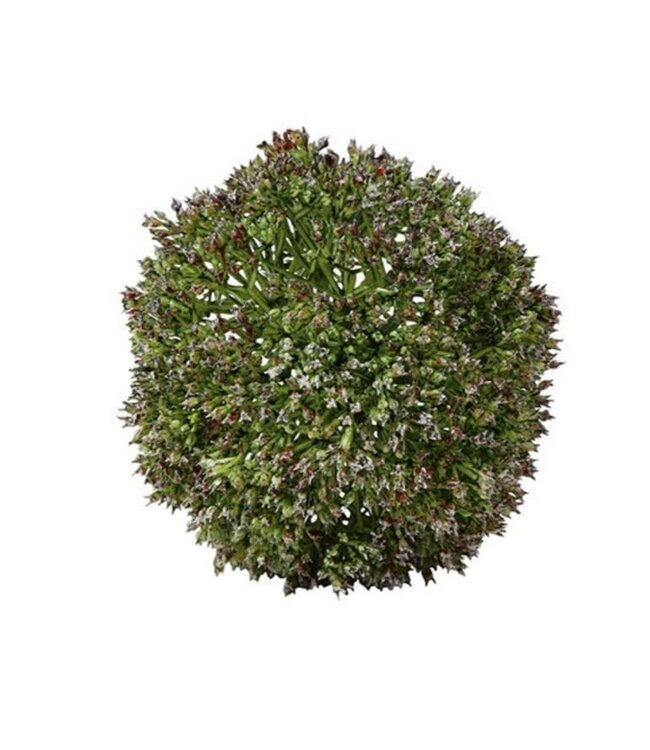 Countryfield Deco bol Eupatorium S groen-11x11x11CM