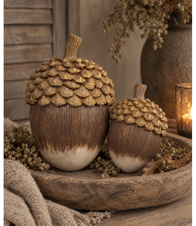 @ Eikel bruin goud17x12x12 cm - de grootste - per stuk