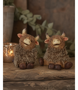 Countryfield @ Schotse hooglander Temmi S a2 bruin - per stuk
