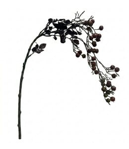 @ Rozenbottel hanger rood - 85 cm