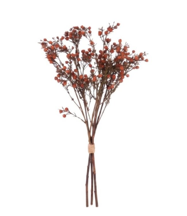 Gypsophilia bundle brown