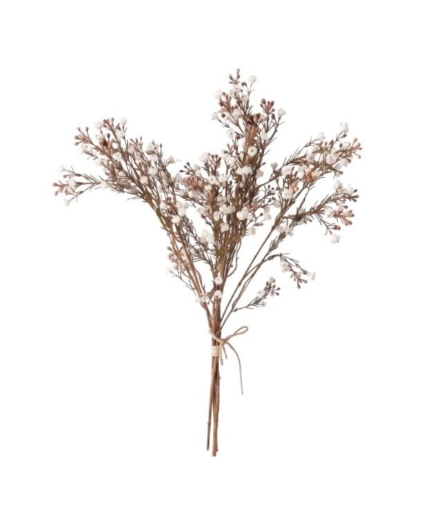 Gypsophilia bundle white
