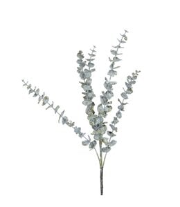 Eucalyptus tak -70 cm