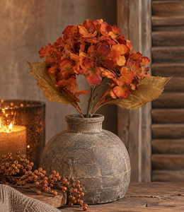 Countryfield Bloem Hydrangea macrophylla Cas s bruin-20x18x46CM