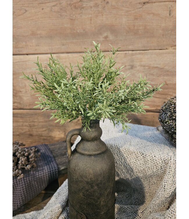 @ Vanilla Bush 25 cm