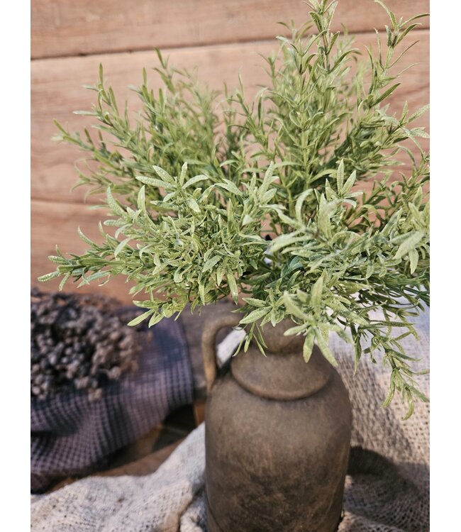 @ Vanilla Bush 25 cm