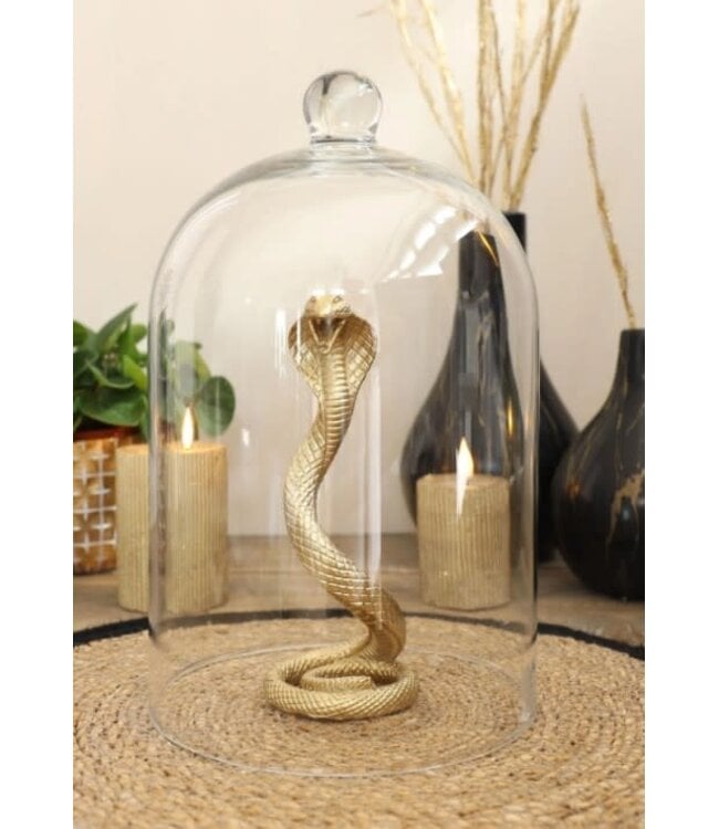 Grote glazen stolp met knop ø18,2 h.30 cm