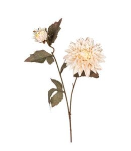 Dahlia l65cm creme