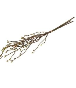 Countryfield @ Kunst bundel Tilia 3x groen-L56B20H8CM