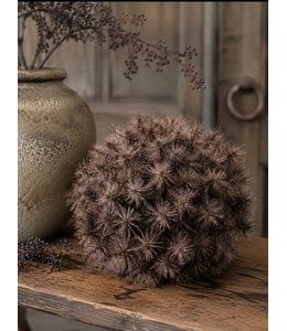 Countryfield @ Deco bol Taraxacum S bruin-12x12x12CM