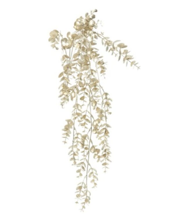 Countryfield @ Eucalyptus metallic champagne-L5B25H75CM
