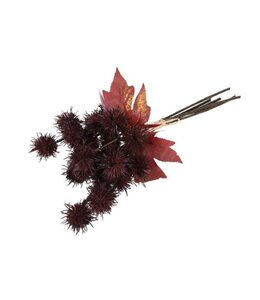 Countryfield @ Bundel Richinus 6x bordeaux-9x12x42CM