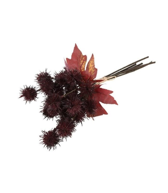 Countryfield @ Bundel Richinus 6x bordeaux-9x12x42CM