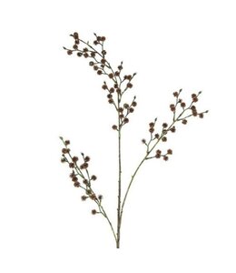 Countryfield Bloem Alnus bruin-10x10x110CM