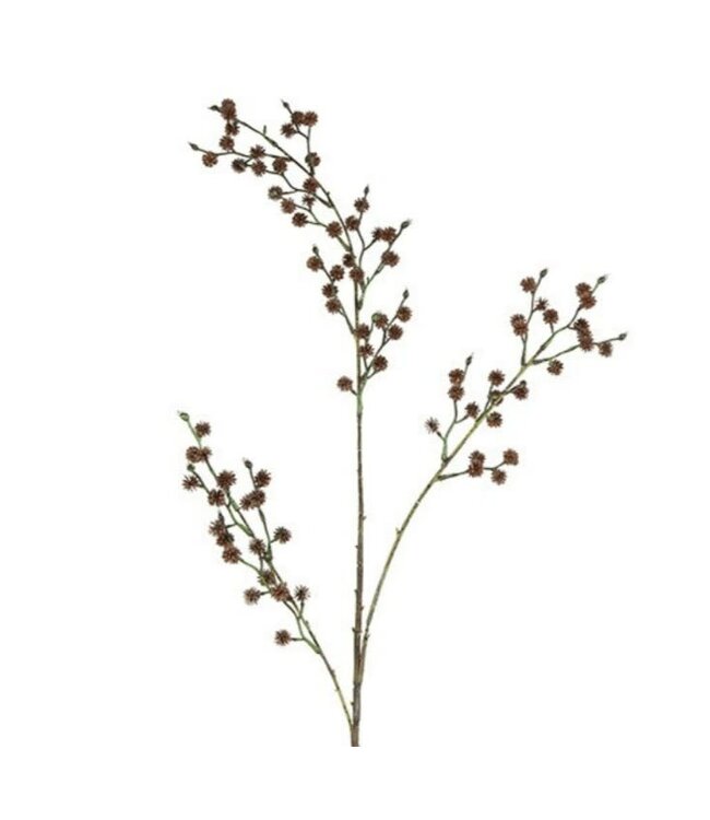 Countryfield Bloem Alnus bruin-10x10x110CM