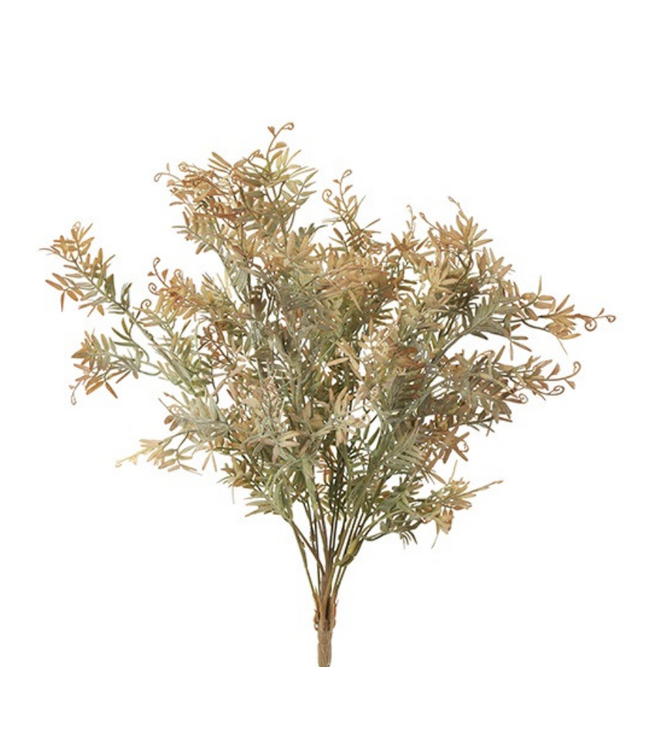 Plant steker Pistacia L l.bruin-15x15x53CM