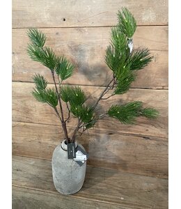 Countryfield Pinus L groen-L12B25H101CM