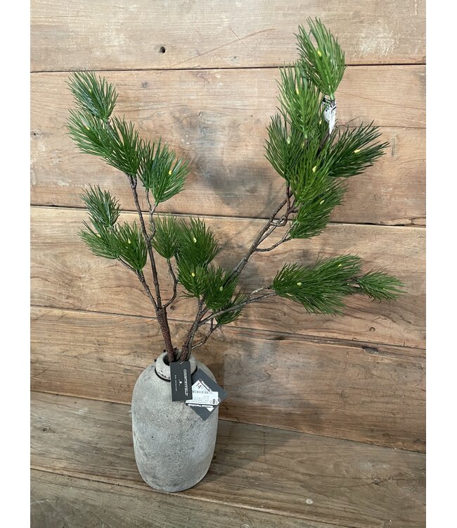 Countryfield Pinus L groen-L12B25H101CM