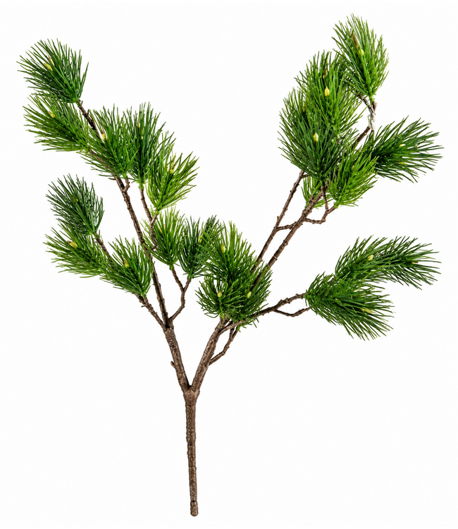 Countryfield Pinus L groen-L12B25H101CM
