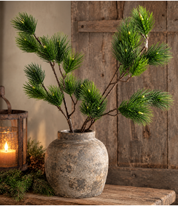 Countryfield Pinus L groen-L12B25H101CM