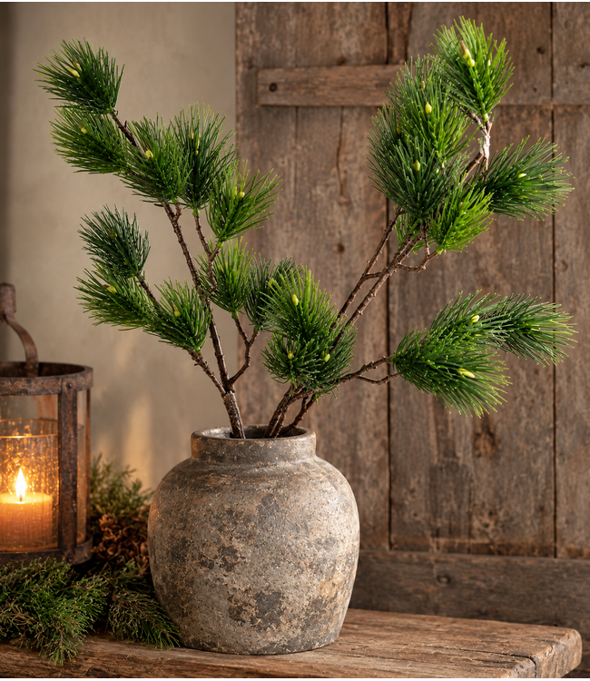 Countryfield Pinus L groen-L12B25H101CM