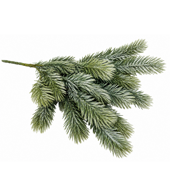 Picea Grey Brown 38 cm