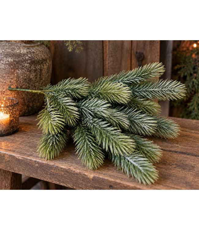 Picea Grey Brown 38 cm
