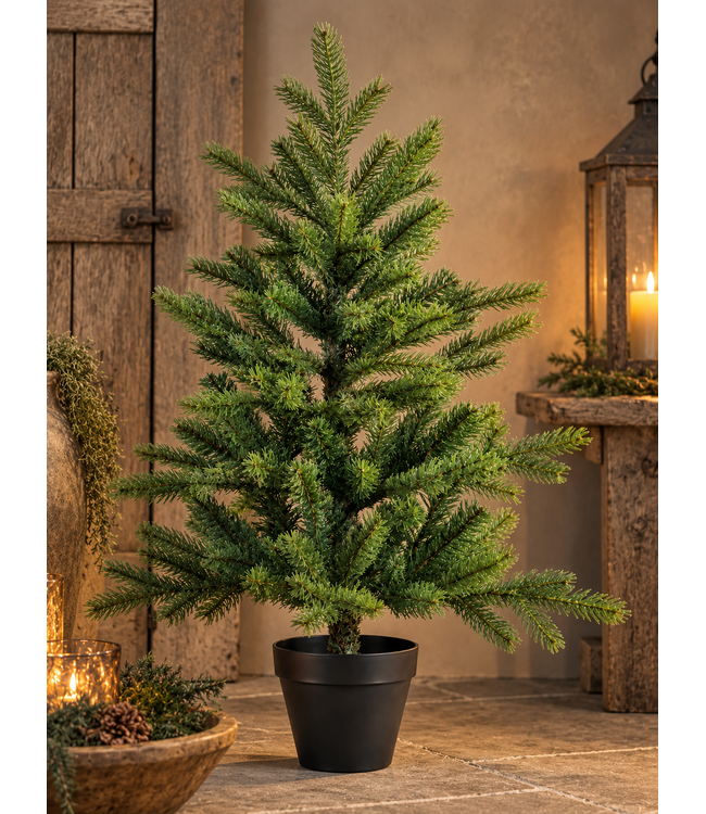 680403 -Grandis mini boom - binnen - 51 x 75 cm - groen 680403
