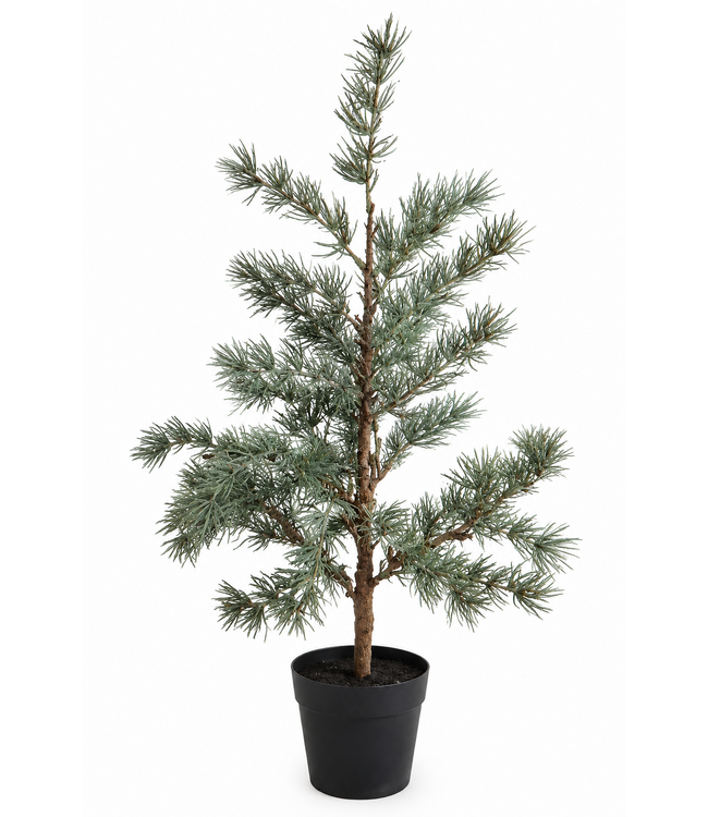 Countryfield Plant Larix S groen- 60 cm - potmaat 11 cm