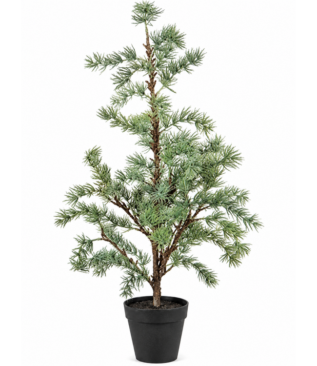 Countryfield Plant Larix M groen-35x35x80CM - potmaat 14 cm